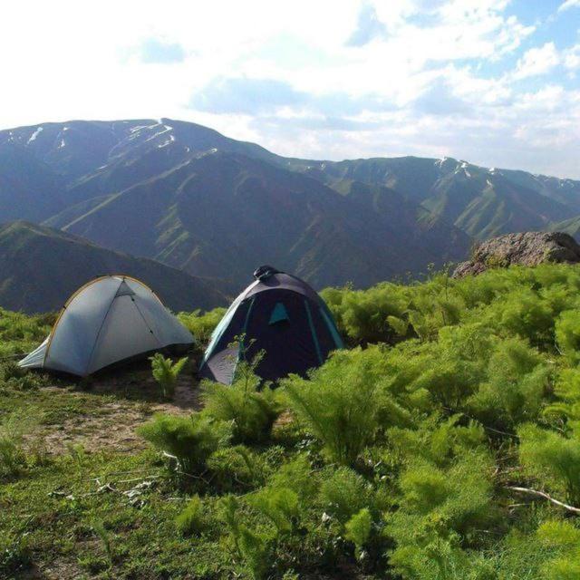Cottage house Chimgan Екстериор снимка